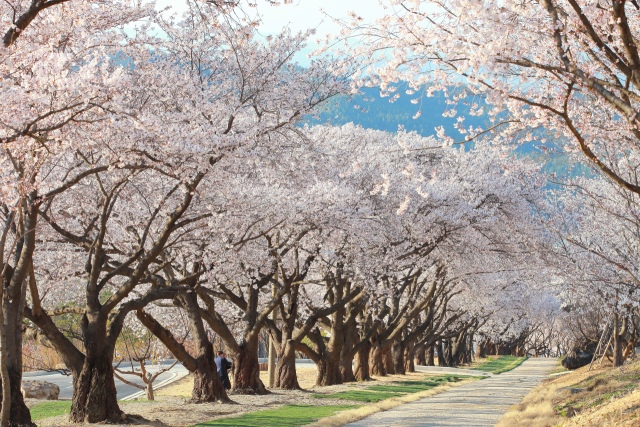 경북 칠곡군 가산수피아.