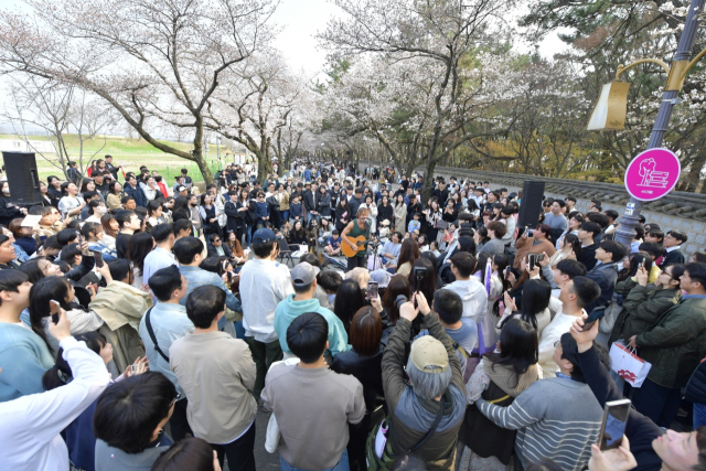 지난달 29일부터 31일까지 사흘간 열린 경주 대릉원돌담길 벚꽃축제 모습. 경주시 제공