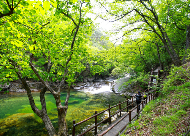 제19경 비파담.