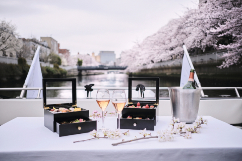 아만, 프라이빗하게 즐기는 핑크빛 벚꽃 스테이…일본의 봄을 오감으로 즐기다