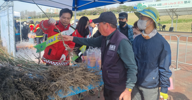 남부산림청은 2일 안동시와 함께 반려나무 무료 나누어주기 행사를 가졌다. 남부산림청 제공