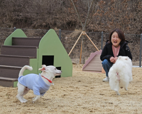 영양군, 반려동물 친화 도시 도약 중