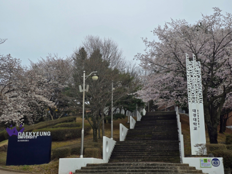 대경대, ‘전공체험 캠퍼스 벚꽃축제’ 개최