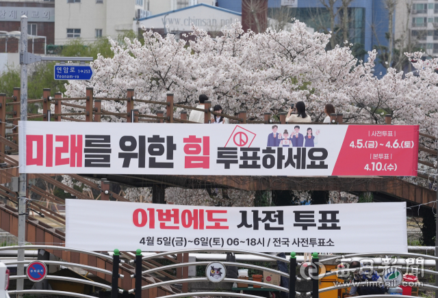지난해 4월 제22대 국회의원 선거 사전투표일을 앞두고 대구 시내 곳곳의 도로에 사전투표 독려 현수막이 걸려 있다. 매일신문 DB