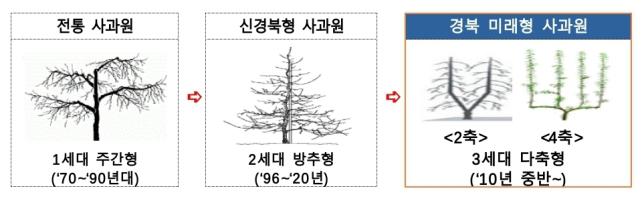 경북형 사과원의 변화 모습. 경북도 제공