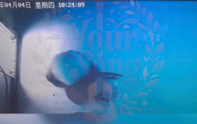 중국으로 반환된 푸바오가 내실에서 구르는 모습. 중국국가공원 영상 캡처