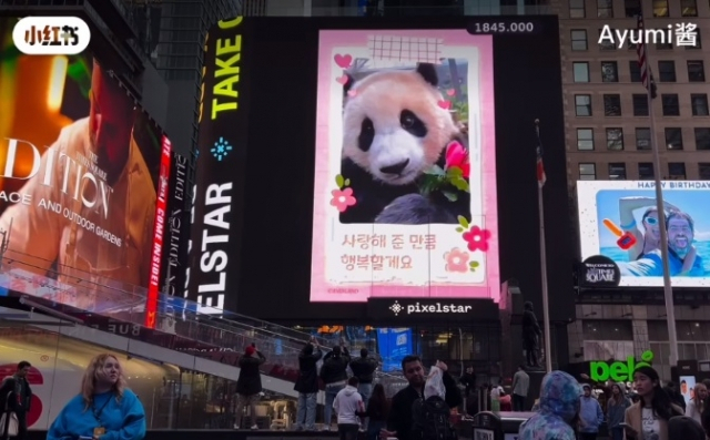 미국 뉴욕 타임스퀘어 전광판에 뜬 푸바오 광고. 중국 SNS 캡처