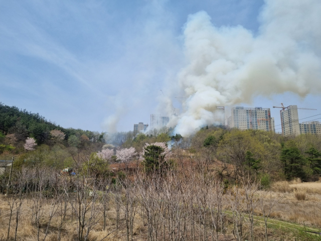 지난달 10일 오전 포항시 북구 흥해읍 한 야산에서 발생한 산불을 소방대원들이 진화하고 있다. 포항북부소방서 제공.
