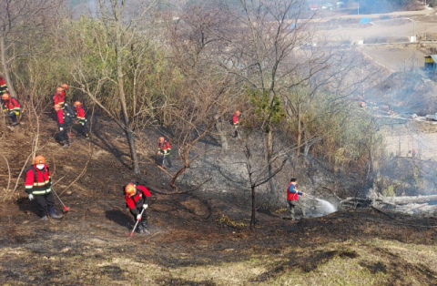 경주 산내면 야산서 불…40여분 만에 주불 진화