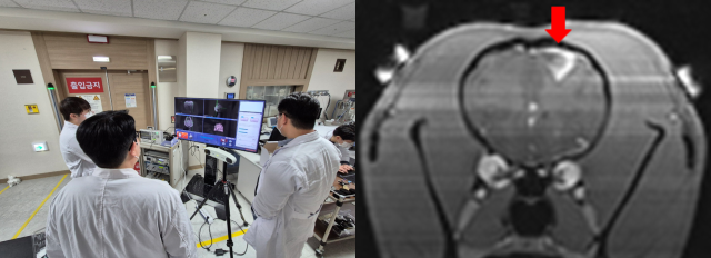 뇌혈관장벽 개방 연구를 진행 중인 케이메디허브·뉴로소나 연구원 및 결과 화면. 케이메디허브 제공.