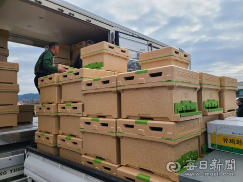 벌 쏘임에 쓰러진 60대…청송 양봉 작업 중 중증 사고