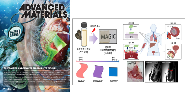 세계적 학술지 어드밴스드 머티리얼스의 선택은?… 케이메디허브 공동개발  수중생체접착패치 논문 표지 장식해