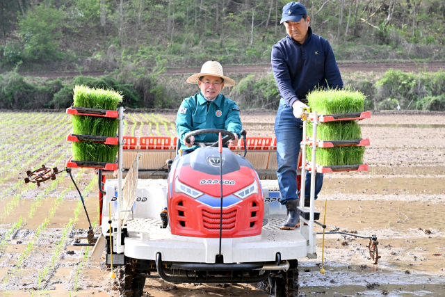 대구 군위군, 17일 첫 모내기 실시…8월 말 수확 예정