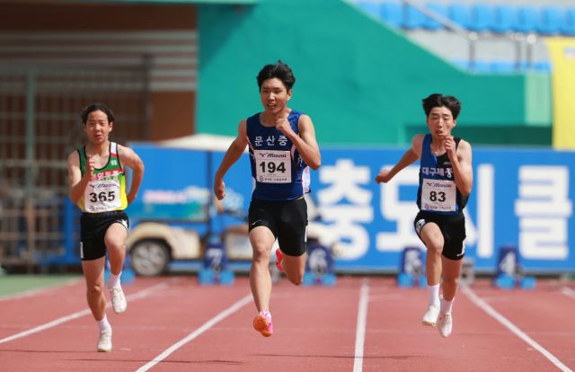 '제53회 춘계 전국 중·고 육상경기대회' 단거리 종목에 참가한 선수들이 달리고 있는 모습. 예천군 제공