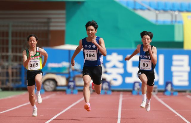 육상 꿈나무 레이스, 예천에서…'춘계 초·중·고 육상경기대회 개막'