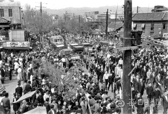 1960년 4월 26일 오후 경북대, 대구대, 청구대 등 각 대학 교수단과 대학생, 시민들이 중앙통에서 이 대통령의 '즉시 하야'를 촉구하며 시위 행진을 벌이고 있다. 사진=매일아카이빙센터