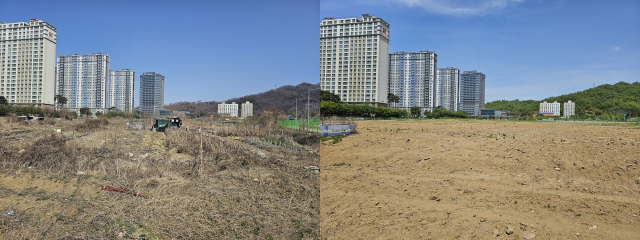 경북김천혁신도시 산학연 클러스터 부지의 정비 전(왼쪽) 사진과 정비 후 사진. 조규덕기자