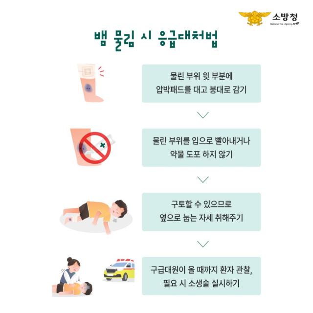 뱀 물림 응급처치 요령. 경북소방본부 제공.