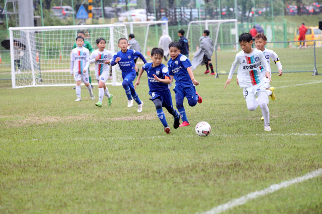 지난해 열린 2023 화랑대기 U-10 축구 페스티벌 대회 모습. 경주시 제공