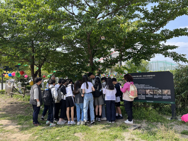 대구 수성구(구청장 김대권)가 이달 16일부터 다음 달 10일까지 총 7회에 걸쳐 운영하는 망월지 두꺼비를 주제로 한 생태체험 프로그램 진행 모습. 수성구청 제공