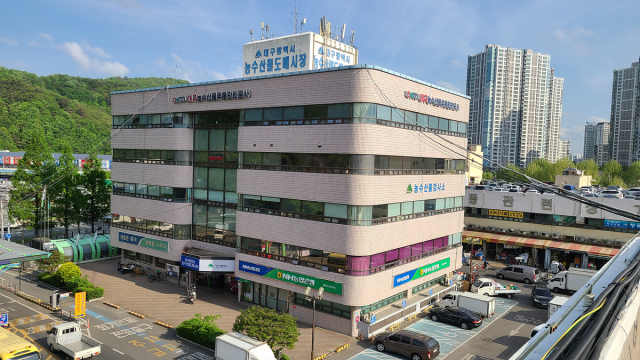 대구농수산물유통관리공사 전