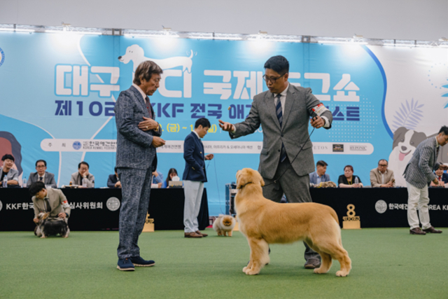 대구 펫&캣쇼 10일 역대 최대 규모 개막…즐기며 배우는 문화축제