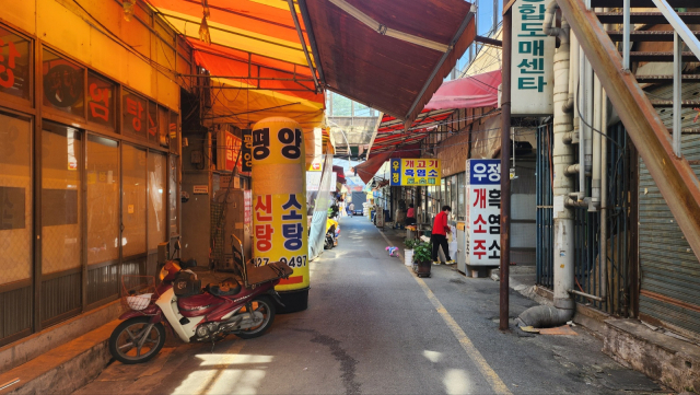 개식용 종식에 막대한 비용, 남은 육견 처분책임도 문제