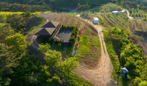[3대 문화권 대해부] 이대로 '방치'되게 둘 것인가… 전문가들이 말하는 해법은?