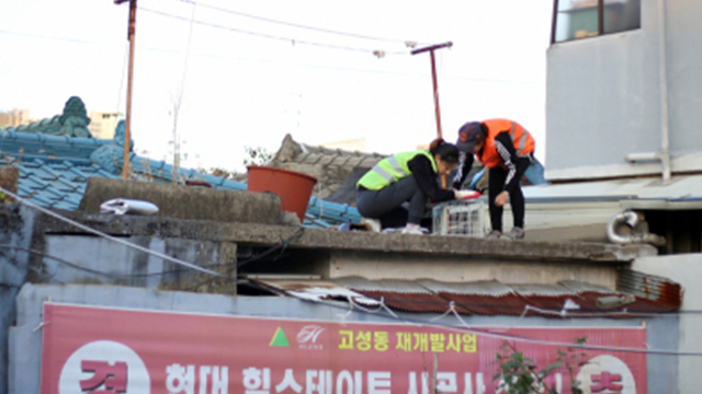 지역에서 활동중인 대구고양이보호연대는 길고양이 개체수 조절에 열심이다. 길고양이를 가엾이 여겨 밥을 주는 '캣맘'의 역할에서 더 나아간 활동이다.