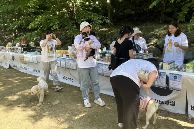 지난달 27일 대구 달성군 가창면에 위치한 카페에서 바자회가 열렸다. 중고 용품을 기부받아 저렴한 가격에 판매하고, 그 수익금은 모두 기부하는 다소 익숙한 형태다. 하지만 이 바자회에는 온통 동물용품들 뿐이다. 주최자가 대구 반려견 모임이기 때문이다.