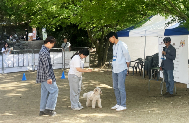 판매 부스와 조금 동 떨어진 공간에는 반려동물 행동교육이 이뤄지고 있었다. 이는 사단법인 동물권 한스에서 맡아줬다. 경주에 위치한 동물권 한스는 유기동물을 돕기 위한 사회적 기업으로 동물을 구조하고, 교육해서 입양을 보내는 역할을 맡고 있다.