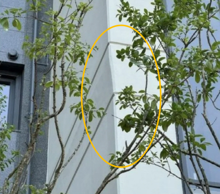 휜 외벽과 균열 등 대규모 하자가 발견된 전남 무안군 
