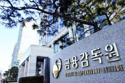 금감원, 전자금융업계와 첫 대면…티메프 사태 재발 방지 당부