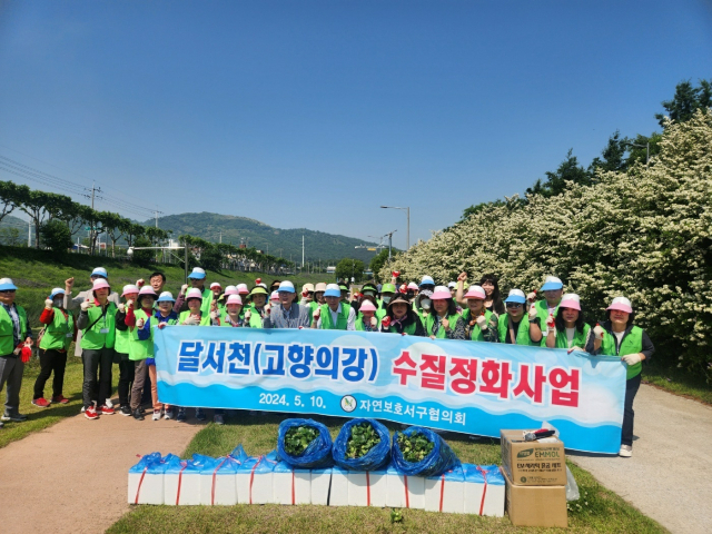 자연보호서구협의회, 달서천 수질정화 활동 추진