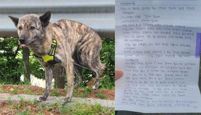 지난 9일 동물보호단체 LCKD 소셜미디어(SNS)에는 경기 성남시 수정구 태평동 탄천 인근 공영 주차장에서 편지와 함께 발견된 유기견 