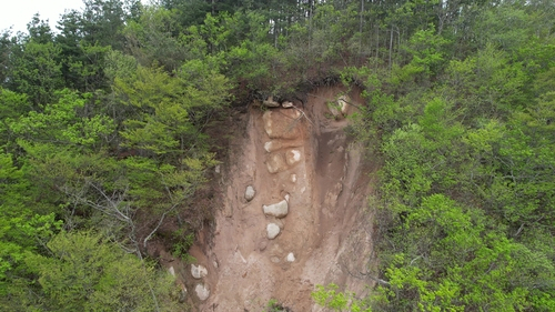 경주 토함산 석굴암 위쪽에 발생한 산사태. 연합뉴스