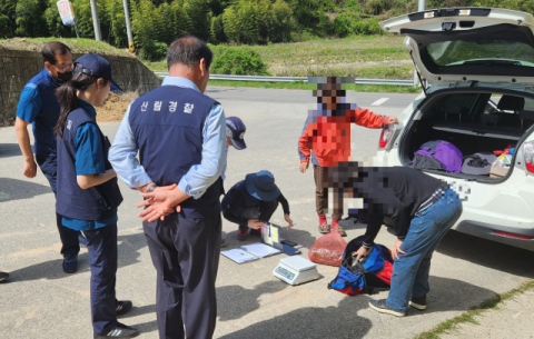 남부지방산림청, '산지 무단전용, 불법채취' 등 산림 내 불법행위자 32명 입건