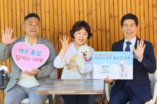 달서구 홍보견 