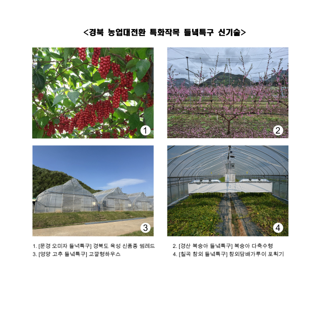 경북을 대표하는 특화작목을 기반으로 조성될 들녘특구에 각 적용되는 신기술. 경북도 제공
