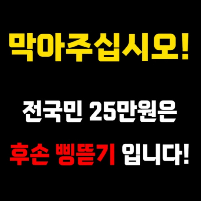 “전 국민 25만원은 후손 삥뜯기”…개그맨 김영민, 1인 시위 예고