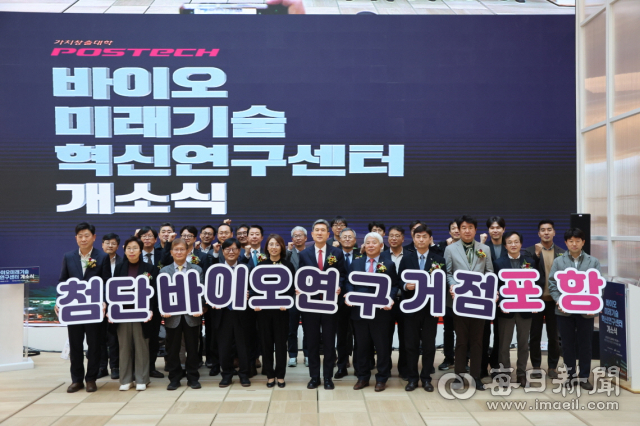 지난해 11월 포항