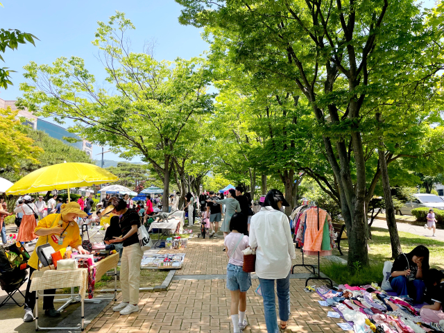 18일 경남 창원시 성산아트홀 앞 가로수길에서 