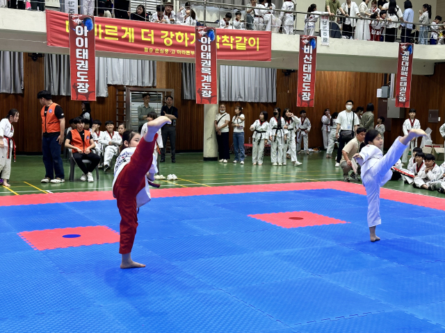 2024 호국평화기념 칠곡군체육회장배 태권도대회에 참가한 선수들이 품세 시합을 펼치고 있다. 칠곡군체육회 제공