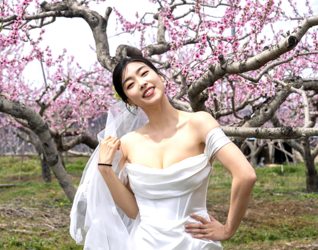 제14회 영천복사꽃 전국 사진촬영대회 금상에 선정된 김기일 작가의 