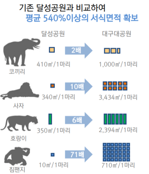'판다 유치 검토' 대구대공원 동물원 미리 보기…세계 최고 국제인증도 도전