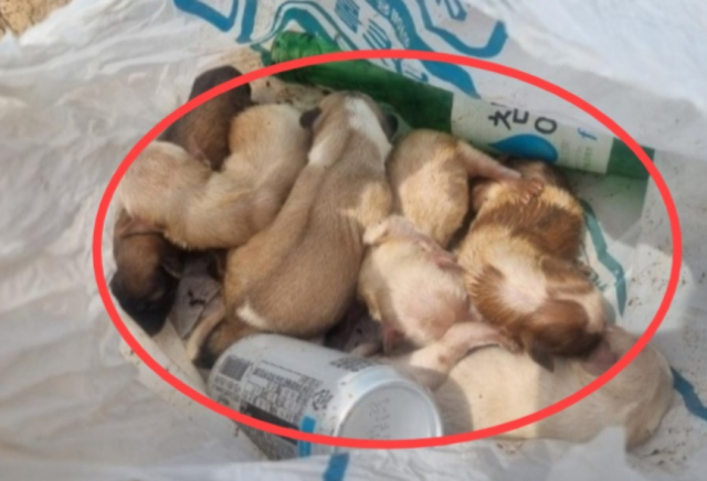 지난 20일 온라인 커뮤니티 