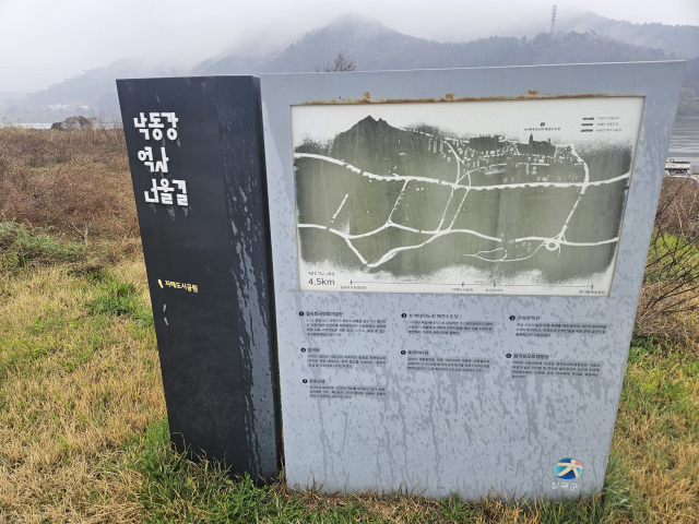 경북 칠곡