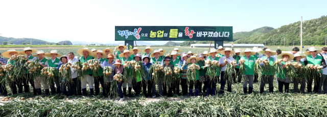 23일 경북 문경시 영순면 공동영농단지 들녘에서
