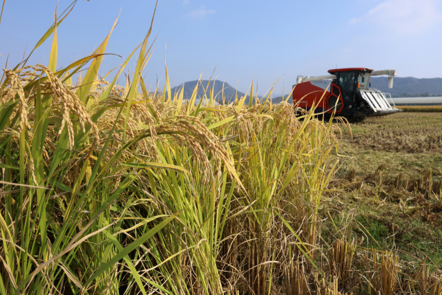 지난해 농가 연소득 첫 5천만원 돌파…부채는 18.7%↑