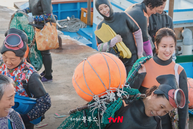 tvN 드라마 